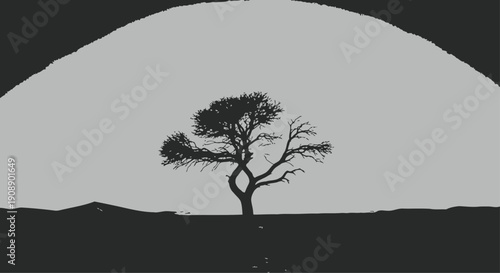 Tree Silhouette Standing Alone in Desert Landscape