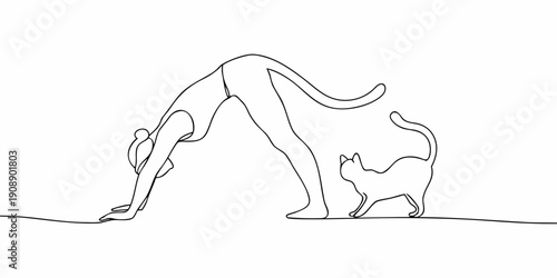 A minimalist line drawing of a woman and a cat interacting