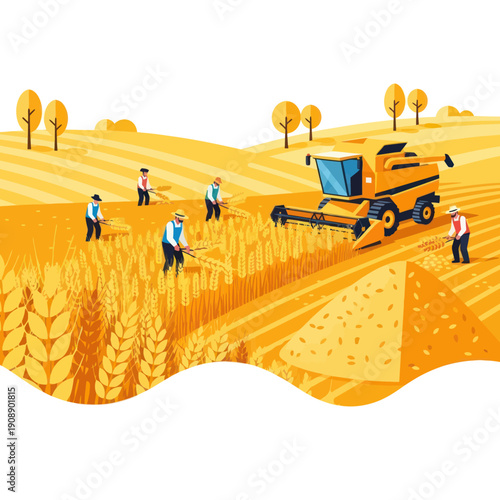 Farmers Harvesting Wheat with Combine Harvester.