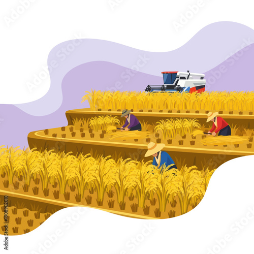 Harvesting Wheat Field with Workers and Machinery.