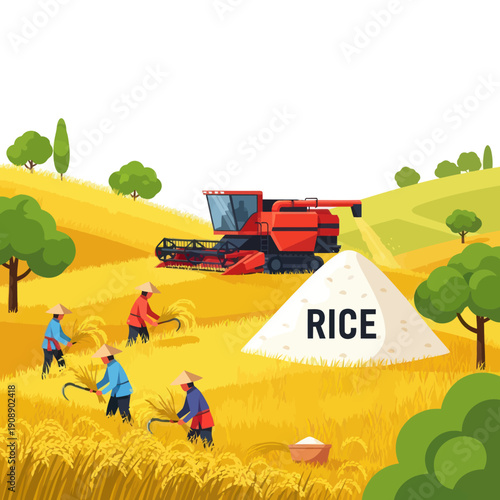 Farmers Harvesting Rice with Machinery.