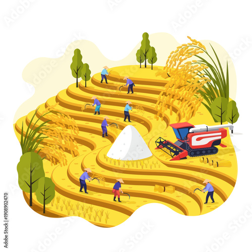 Farmers Harvesting Wheat with Combine Harvester.