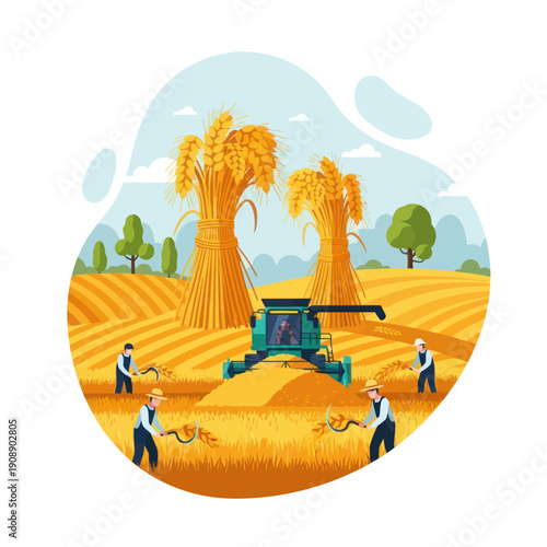 Farmers Operating Heavy Machinery in Wheat Field.