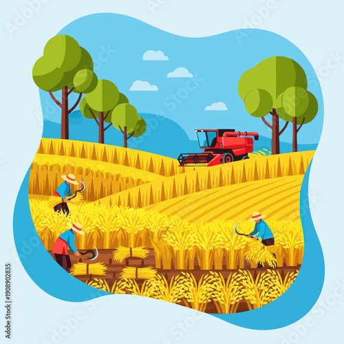 Farmers Harvesting Wheat with Tractor.