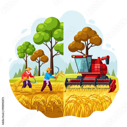 Farmers Harvesting Wheat with Combine Harvester.