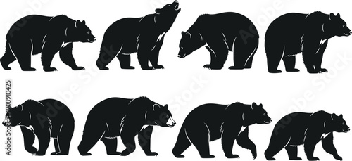 Black bear silhouettes collection, wildlife animal icons, forest figures, nature decoration, standing walking poses, isolated vector illustration design