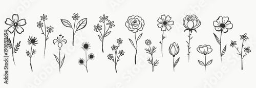 Beautiful hand-drawn flowers in a textured chalk sketch style. Romantic botanical vector illustration for cafe chalkboard menus, eco-friendly packaging, and artistic greeting cards.