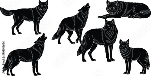 Set of wolf silhouettes featuring howling, standing, and resting poses for wilderness wildlife graphics, forest animal icons, nature conservation design, and lupine vector,