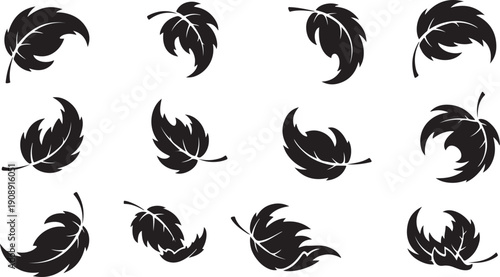 Collection of black feather silhouettes on white background