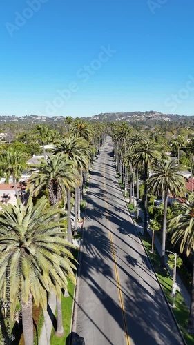 Aerial view of beverly hills palm tree lined street