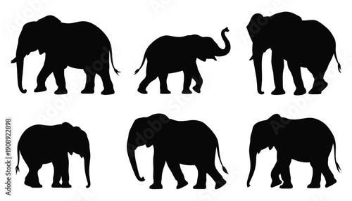 Elephant silhouettes set, wild animal shapes with walking and standing poses, safari wildlife symbols, African nature elements, large mammal outlines, simple black vector illustration isolated.