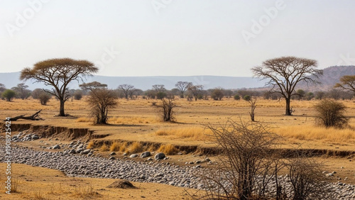 Wallpaper Mural Vast African Savanna Landscape with Golden Grasses and Lone Trees Bordering a Dry Riverbed, Whispering Tales of Nature's Arid Beauty Torontodigital.ca