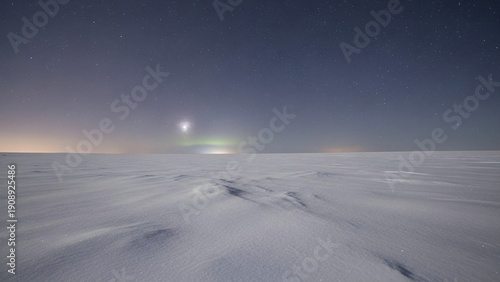 Wallpaper Mural Vast arctic nightscape with a stunning aurora borealis illuminating snow-covered plains under a star-filled sky, a serene and breathtaking cold wilderness Torontodigital.ca