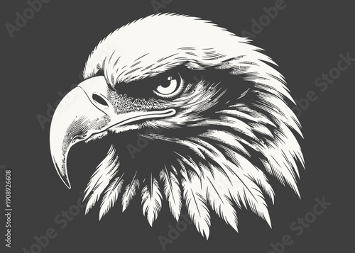 cool eagle vector with black background
