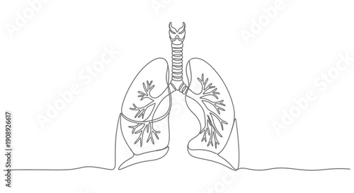 Continuous line illustration of human lungs and trachea