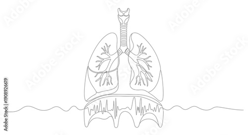 Line art of lungs and trachea with heartbeat waveform, symbolizing breath