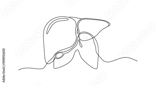 One line art of a human liver and gallbladder, abstract medical design
