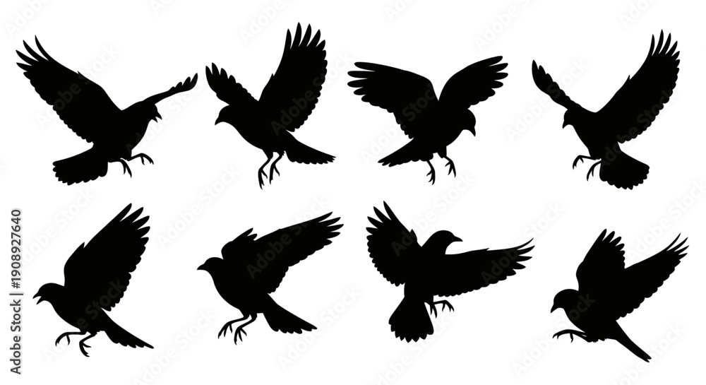 Obraz premium A collection of black silhouettes depicting crows in various flight poses showcasing their dynamic wing movements high quality professional