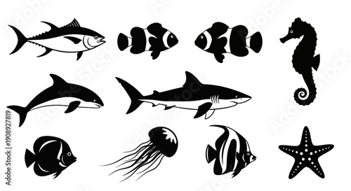A collection of diverse marine life illustrations including fish sharks dolphins and invertebrates in black high quality professional detailed
