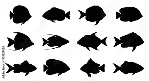 A collection of black silhouettes depicting various fish species arranged in a grid like pattern on a white background