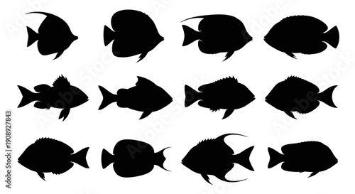 A collection of various black fish silhouettes arranged on a clean white background displaying diverse aquatic life high quality