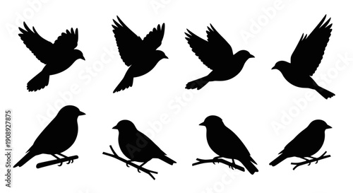 A collection of black silhouettes depicts birds in various flight and perched positions showcasing avian forms high quality professional