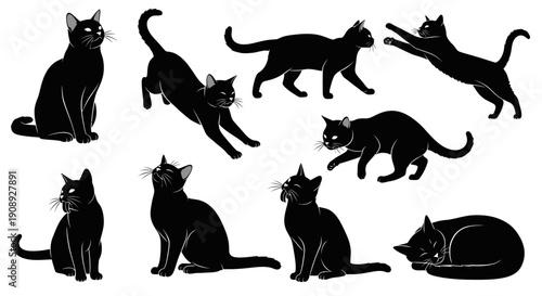 A collection of sleek black cat silhouettes depicted in various poses including sitting stretching and lounging high quality professional