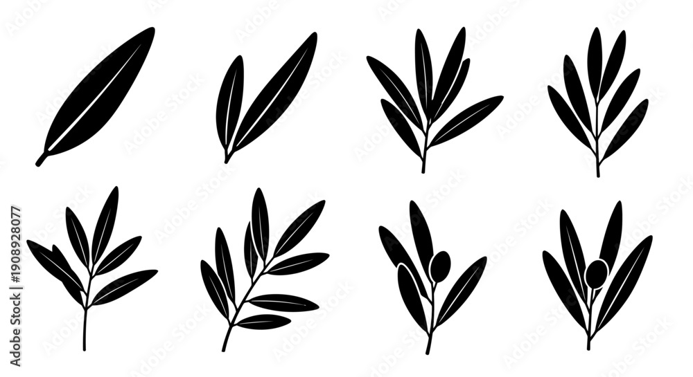 Fototapeta premium A collection of black silhouette leaf and branch arrangements showcasing varying leaf density and patterns high quality professional detailed