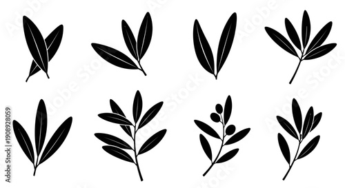 A collection of black silhouette olive branches and leaves displaying diverse arrangements on a white background high quality professional