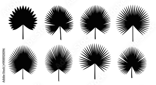 A collection of six stylized black silhouettes depicting various palm leaf shapes against a plain white background high quality