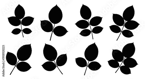 A simple black and white image showcases nine stylized leaf silhouettes arranged on a clean white background high quality professional detailed