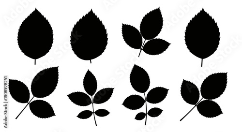 A collection of black silhouettes depicting various leaf shapes and arrangements against a white background high quality professional detailed