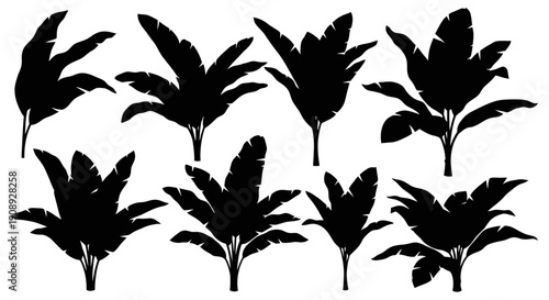 A collection of silhouetted banana leaves showcases various sizes and shapes against a stark white background high quality professional