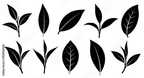 A collection of stylized black silhouettes depicting various leaf shapes and arrangements showcasing botanical forms high quality professional detailed
