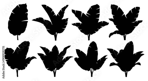 A collection of stylized black silhouettes depicting various tropical banana leaves against a plain white background high quality professional
