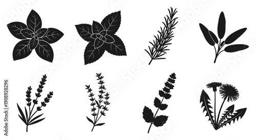 A monochromatic collection of various herbs and botanical silhouettes arranged on a plain white background high quality professional detailed