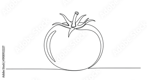 Single line drawing of a fresh tomato on white background