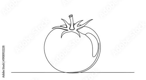 Continuous line art of a ripe tomato on a white background