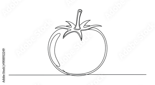 Minimalist single line drawing of a tomato on a white background