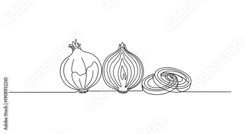 Single line illustration of onions and rings on white background