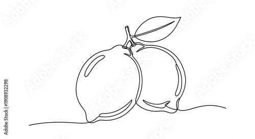 Single line drawing of two lemons with one leaf