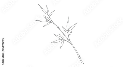 Single Line Art of Bamboo Leaf Branch on White