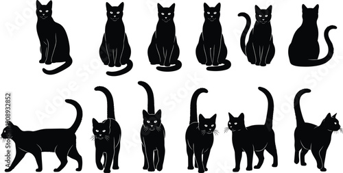 Black cat silhouette bundle, domestic feline poses collection, vector illustrations isolated on white background for creative design projects