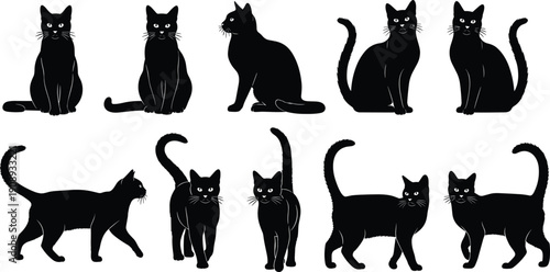 Black cat silhouettes collection, domestic feline poses set, vector illustrations isolated on white background for design projectsBlack cat silhouettes collection, 