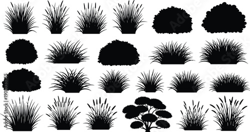 Garden shrub and grass silhouettes bundle, ornamental bushes and plants collection, black vector landscape elements isolated on white