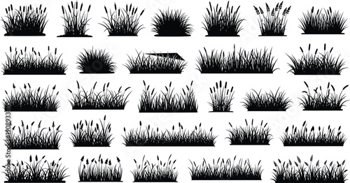 Grass and reeds silhouettes collection, wild meadow plants set, black vector foliage elements isolated on white background