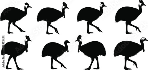 Cassowary bird silhouettes set, exotic tropical wildlife collection, black vector illustrations isolated on white background for design projects