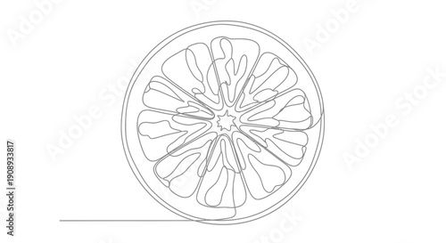 Slice of Citrus Fruit in Minimalist Line Art Style