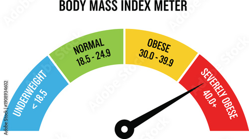 Body Mass Index BMI Meter Scale Vector with Colorful Gauge for Underweight Normal Obese and Severely Obese Health Measurement