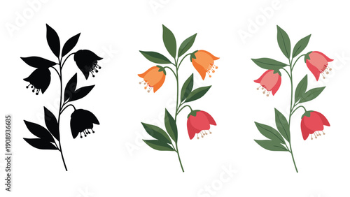 Bell flower branch illustrations presented in black silhouette and two different warm color schemes on white background.